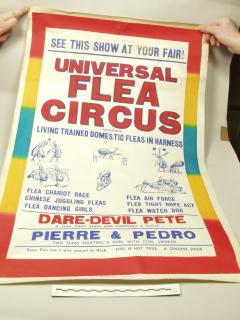 1953.9.28 Poster advertising the Universal Flea Circus at St Giles Fair in 1953