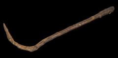 1911.29.49 Fagging stick donated by Percy Manning